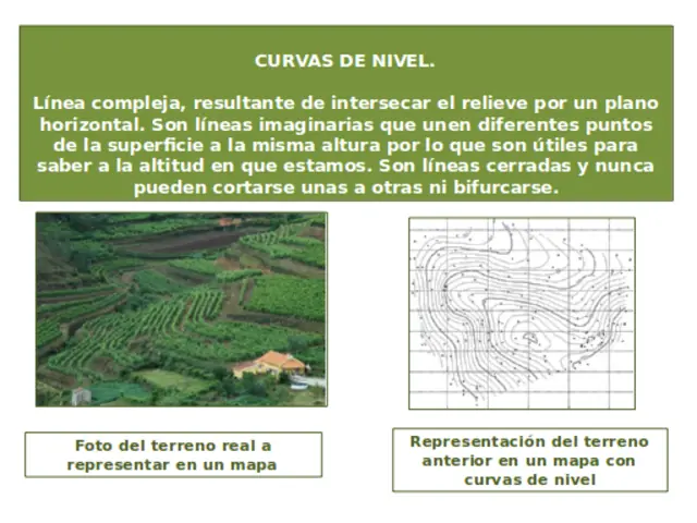 curvas de nivel