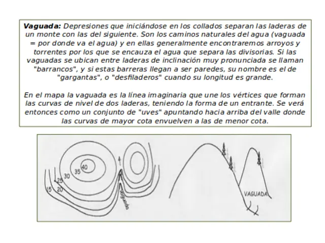 curvas de nivel