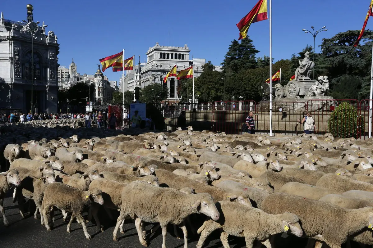 Madrid