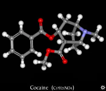 Cocaina : procesos de elaboracion