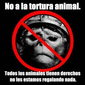 tortuga