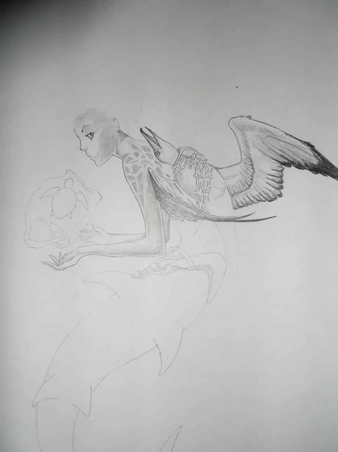 dibujo a lapiz