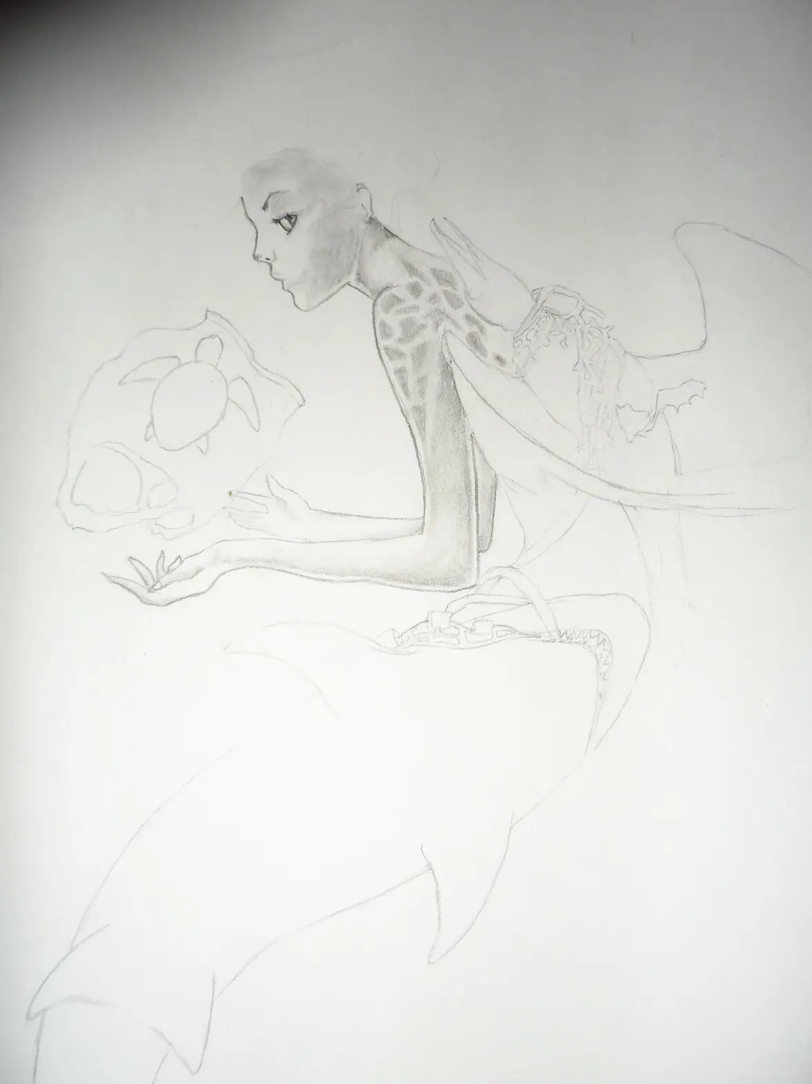 Dibujo