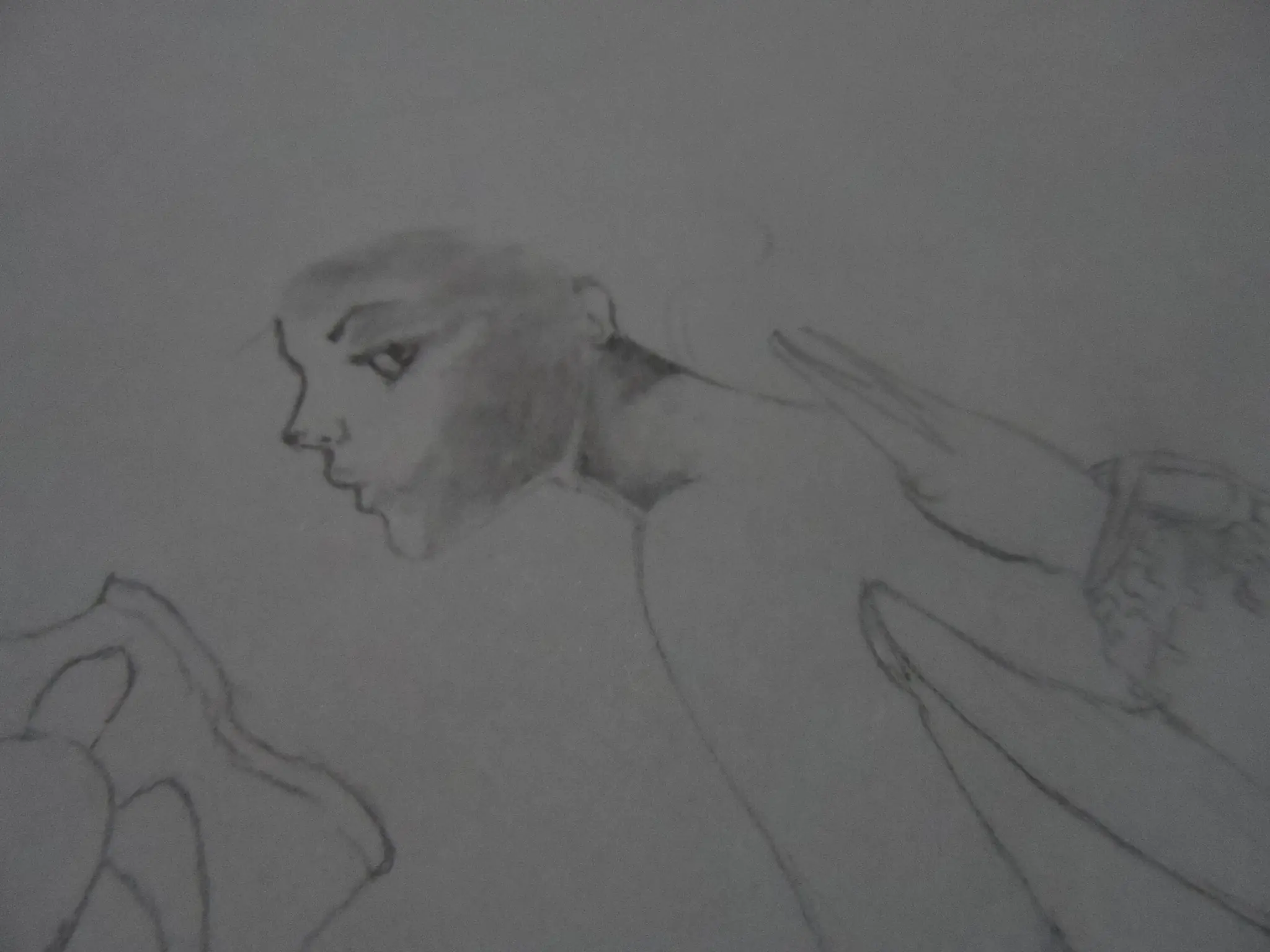 dibujo a lapiz