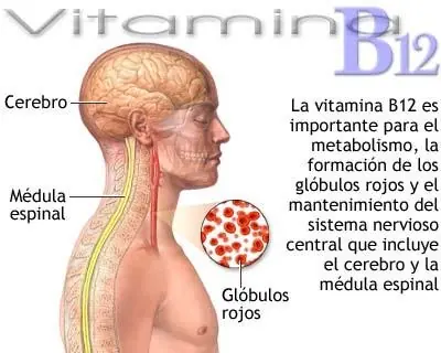 salud
