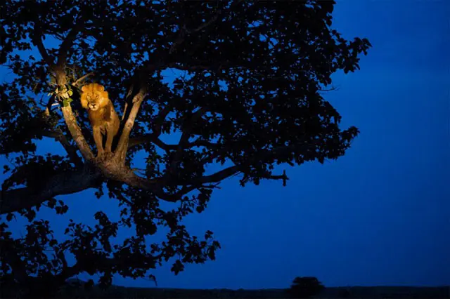 Imagenes del Mundo - Paisajes y animales
