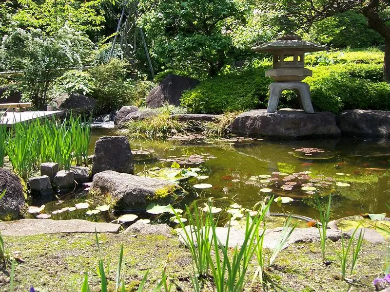 Cultura japonesa muy bueno mirenlo porfa
