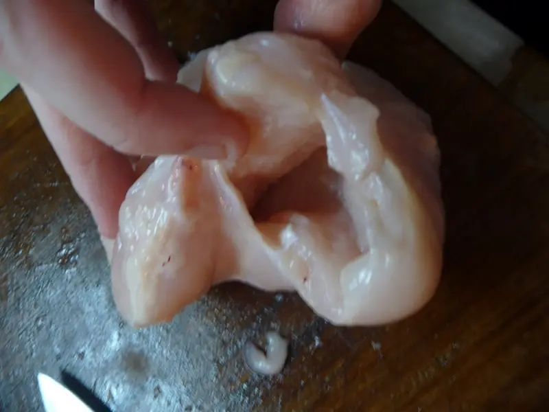 Pollo