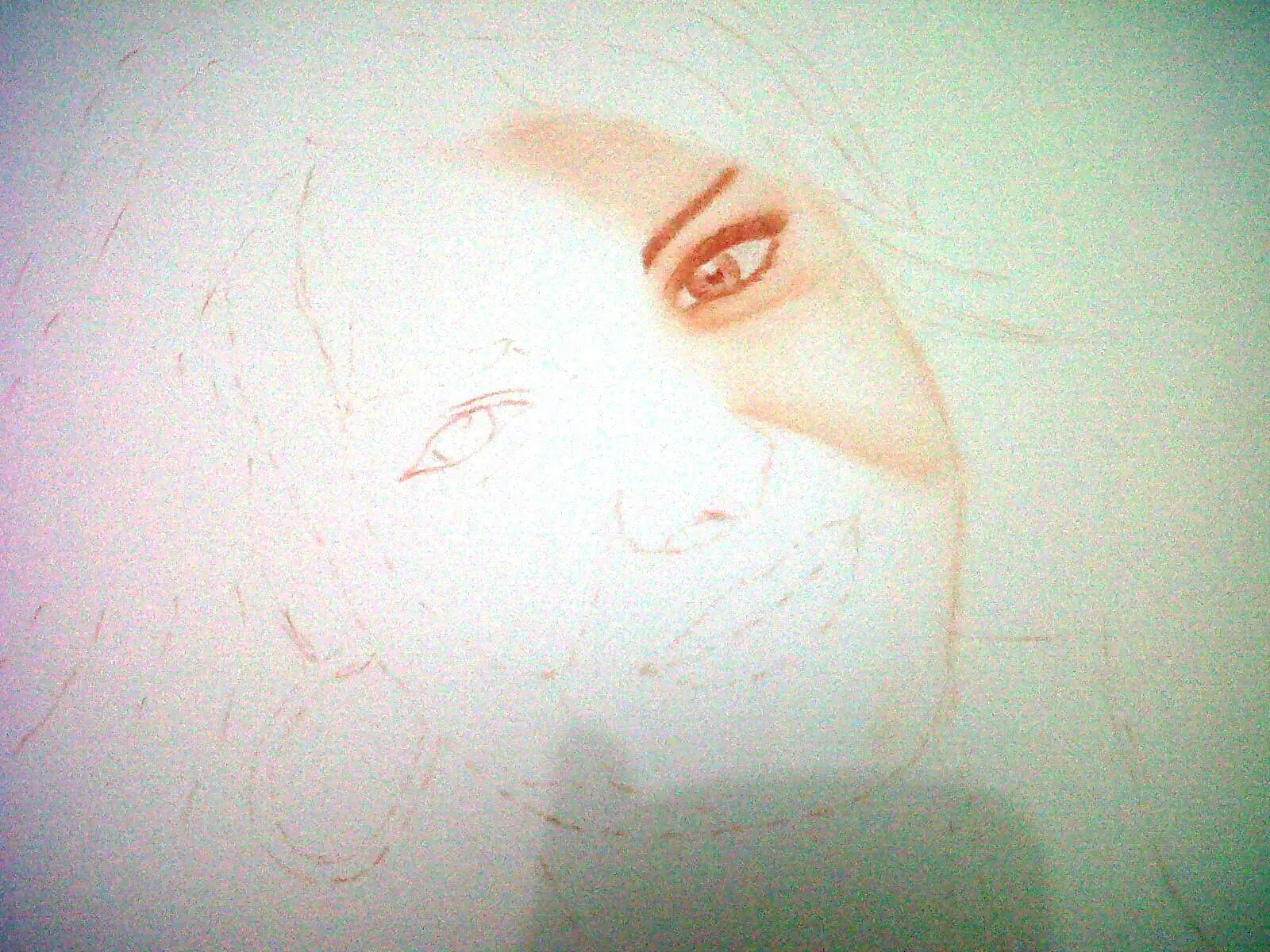 retrato