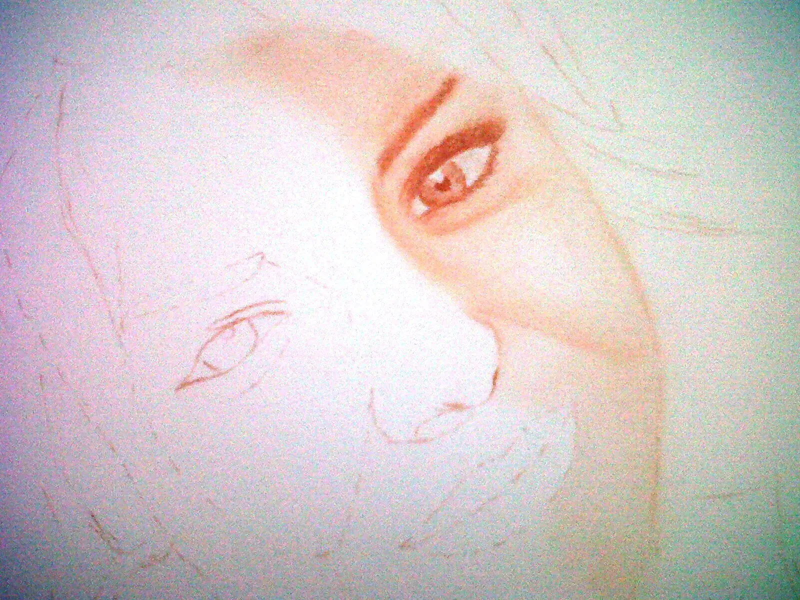 Mis Dibujos