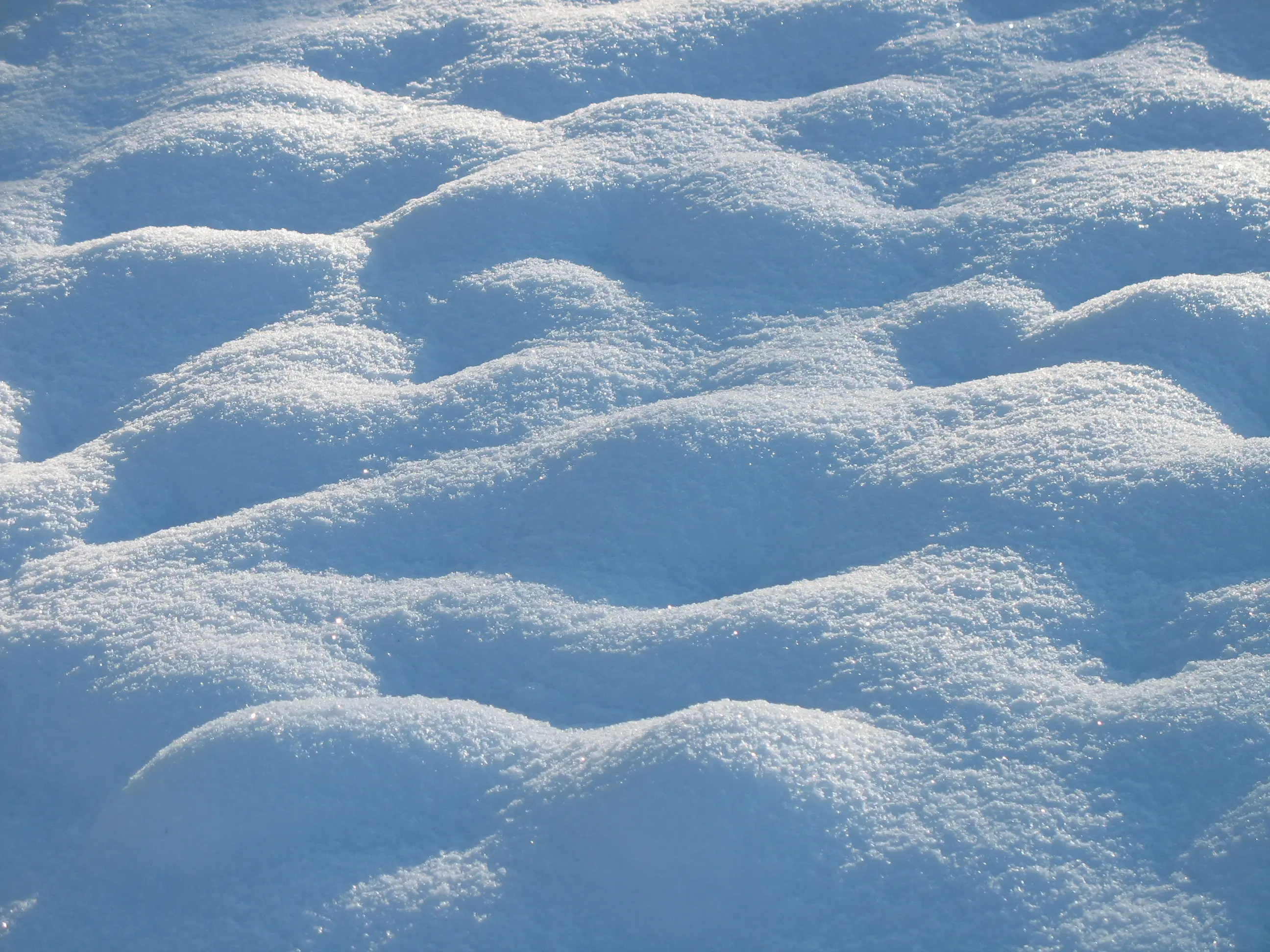 Es falsa la nieve en EE.UU Fake Snow in U.S.A video