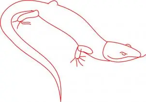 Como aprender a dibujar animales . . . .