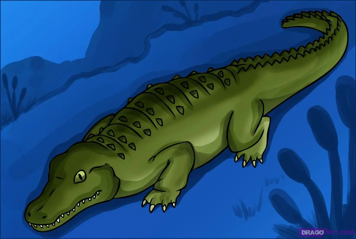 como dibujar animales