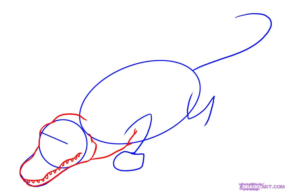 como dibujar en pasos