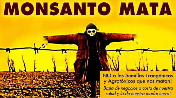 reflexion