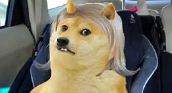 Imagenes y Gifs para Morirse de Risa 14