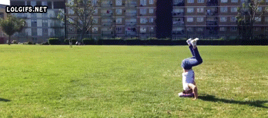 [Humor] Imagenes y Gifs para Morirse de Risa 14