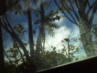 vida