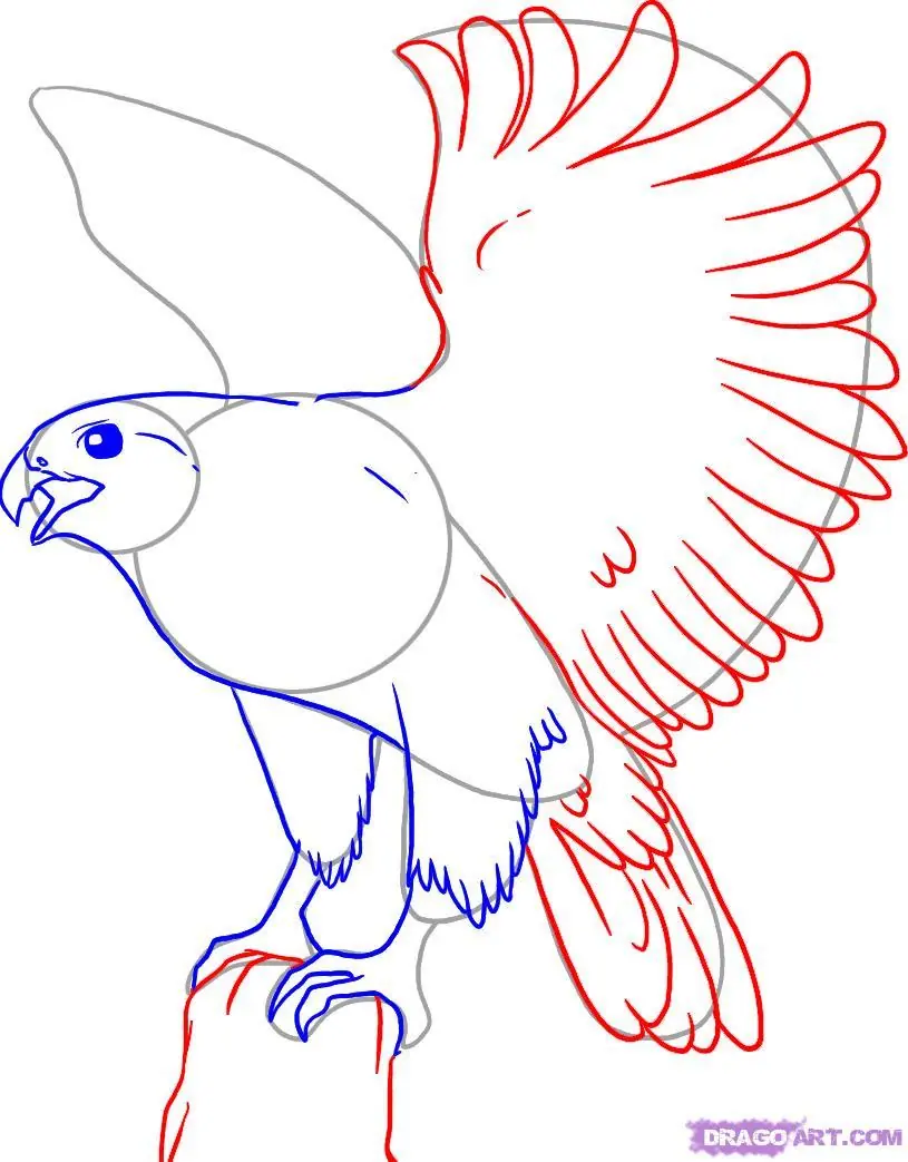 dibujos
