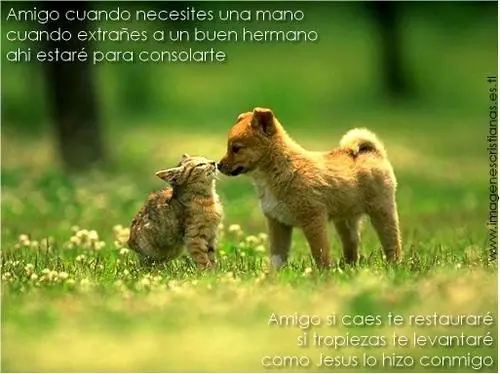 sonrie