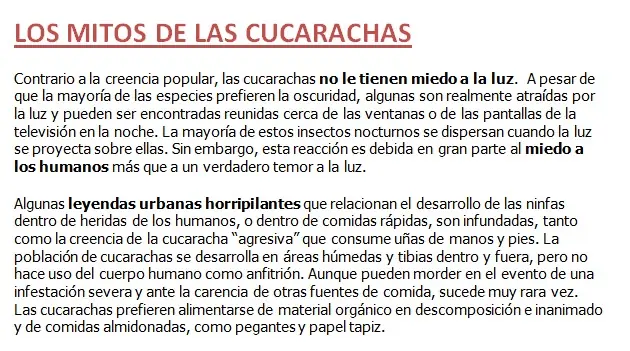 cucarachas