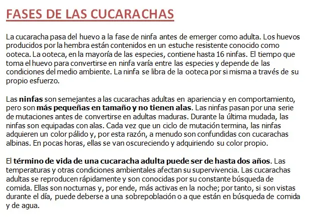 curiosidades