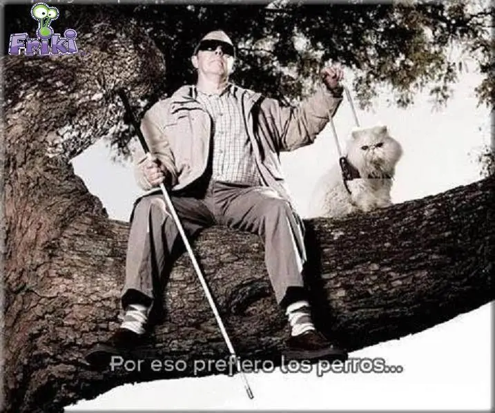 graciosas
