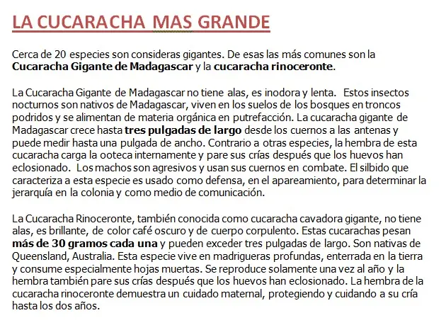 Todo lo que necesitas saber sobre las cucarachas