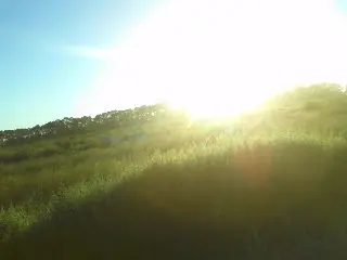arte