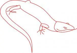 como dibujar animales