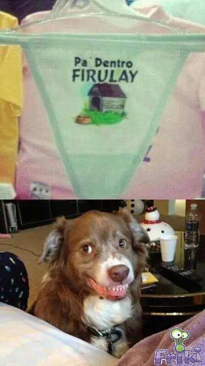 humor