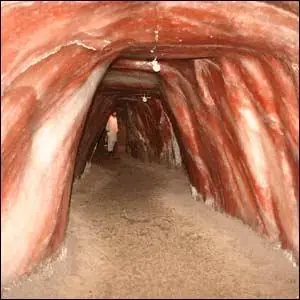 sal del Himalaya