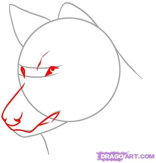 como dibujar animales