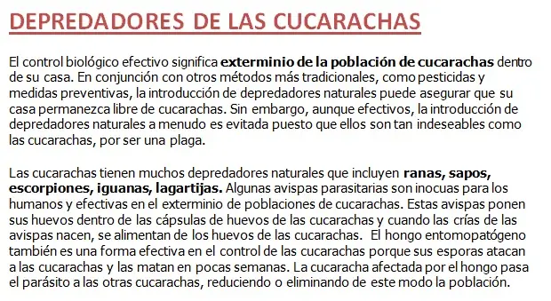 curiosidades