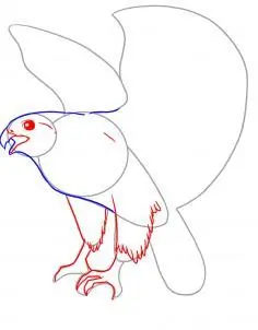 Animales