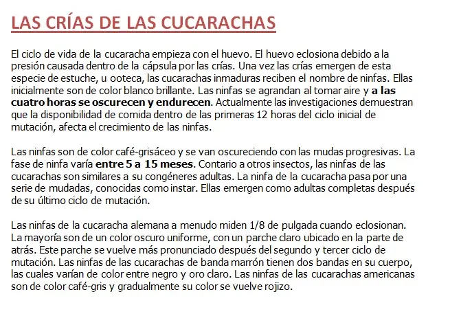 cucarachas