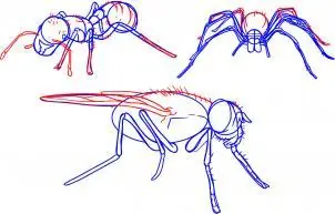 dibujos