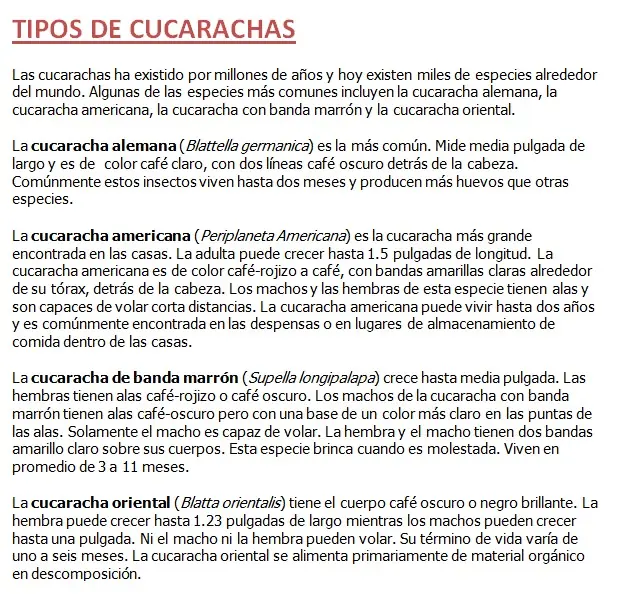 Todo lo que necesitas saber sobre las cucarachas