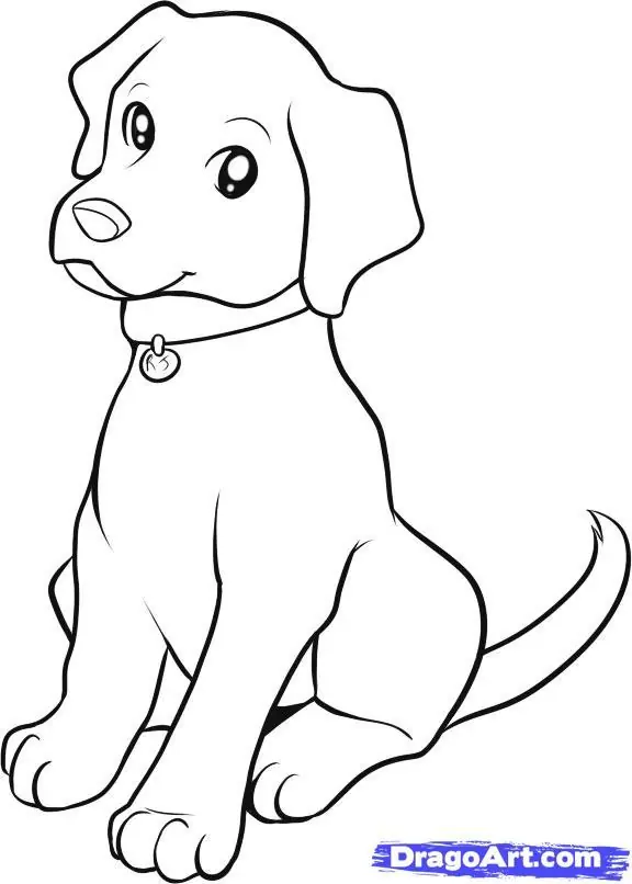 como dibujar animales