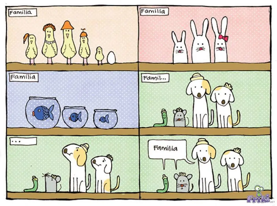 chistosas
