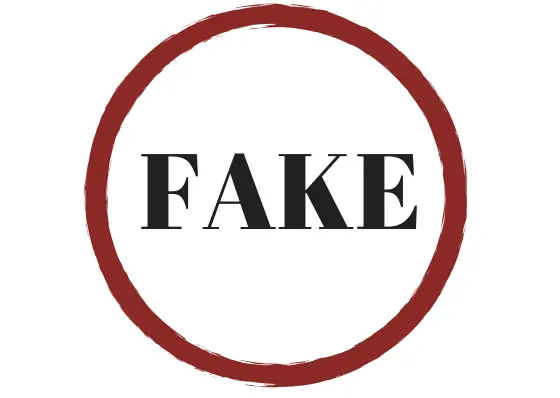 Bulos: los fake de internet.