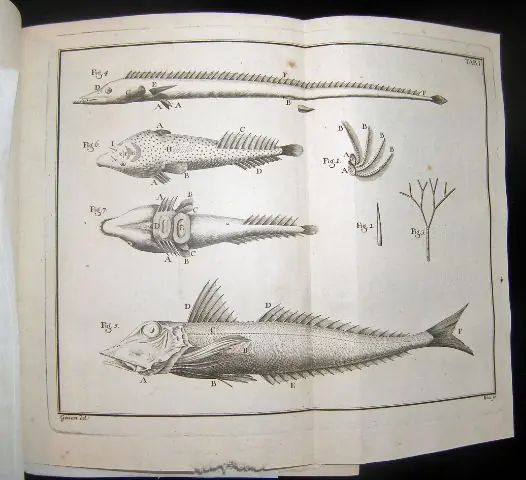 bioligia