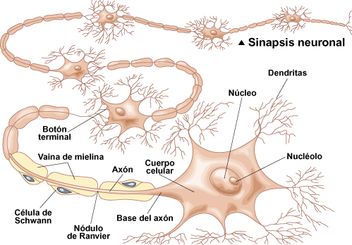 Grandes Científicos y Su Aporte a la Ciencia [Megapost]