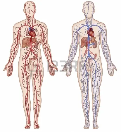bioligia