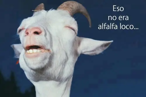 vinetas