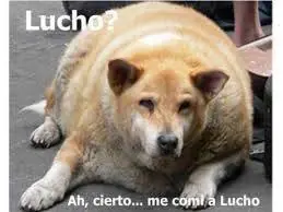 imagenes