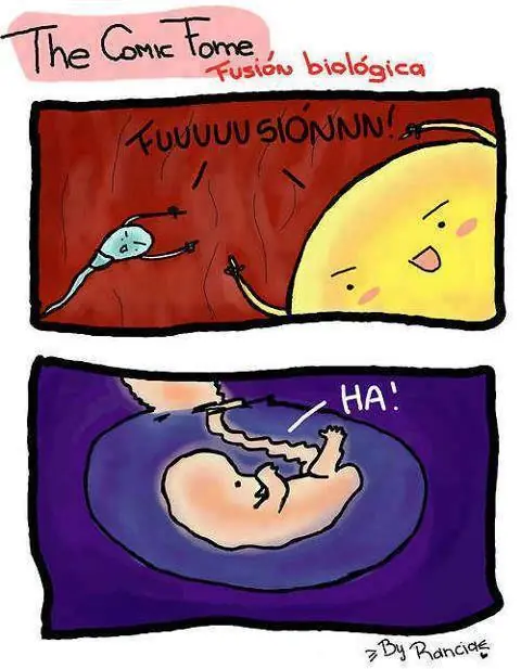Humor de martes por la tarde... Te hago reir 5 minutos...