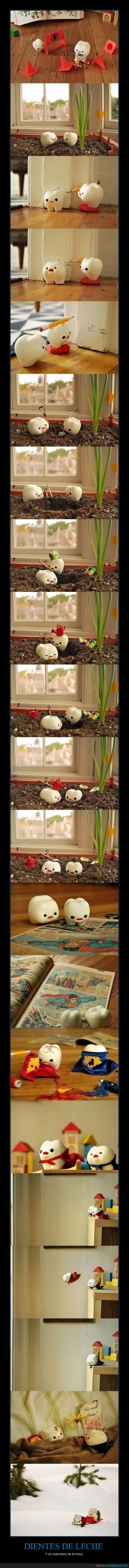 Gifs