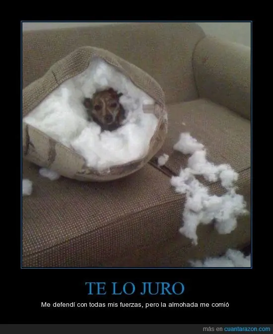 humor