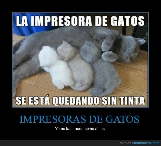 humor